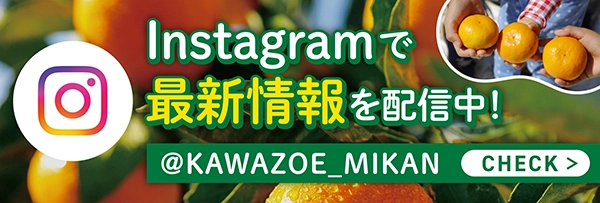 最新情報はInstagramにて