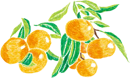 みかんイラスト