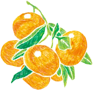 みかんイラスト