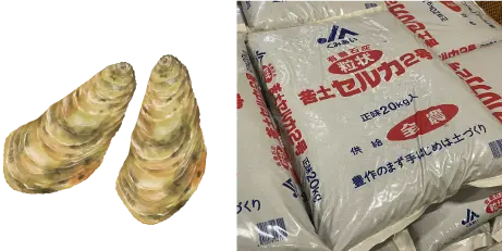 牡蠣殻石灰